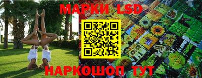 дживик Заводоуковск