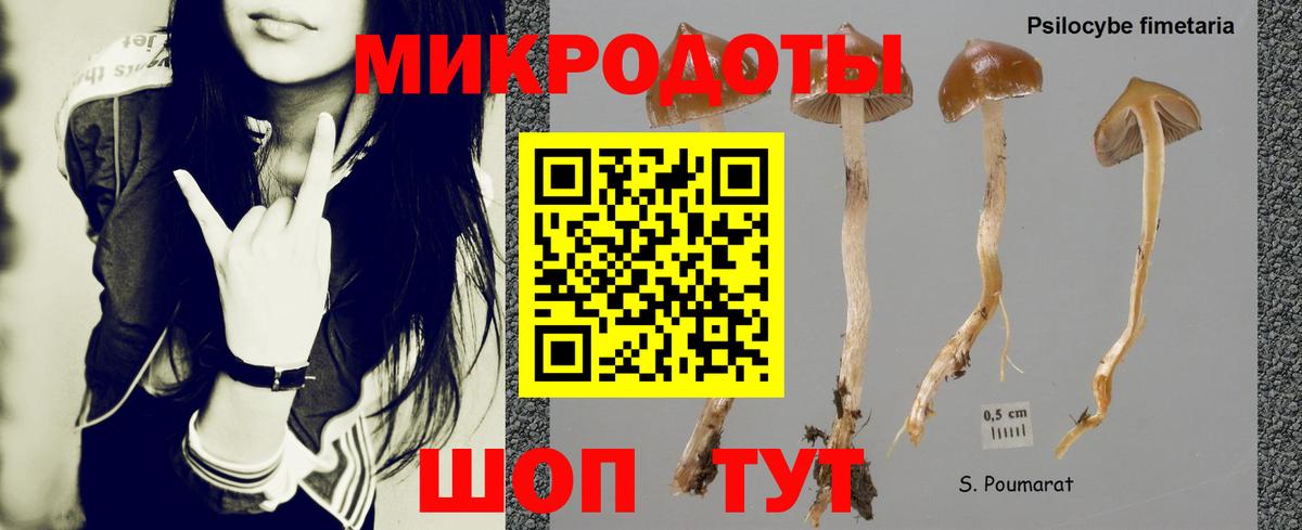 Лянтор  Псилоцибиновые грибы мицелий  Вход с VPN  Галлюциногенные грибы ЛСД 
